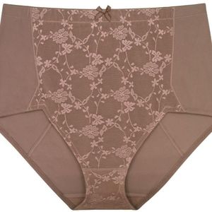 DORINA control briefs